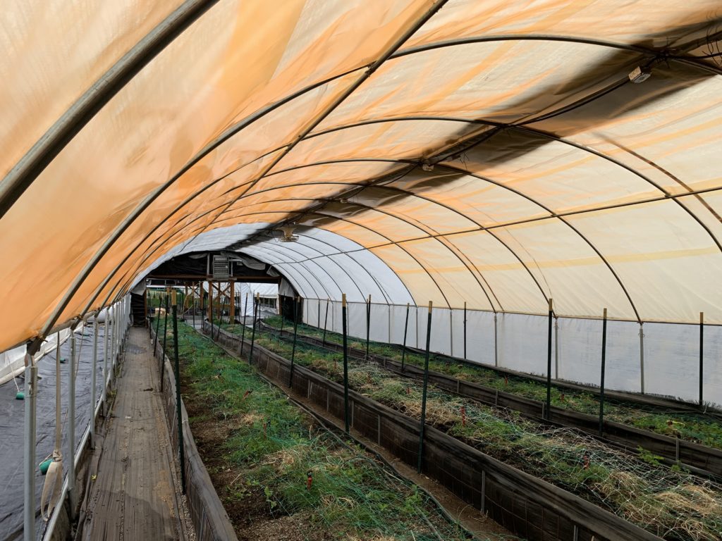 Greenhouse Covering Materials for Cannabis