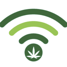 Cannabis Today Podcast