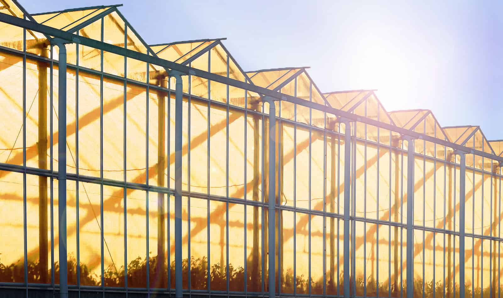 Greenhouse Covering Materials