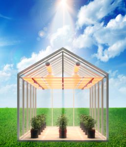 Greenhouse Lighting System Light Diffusion