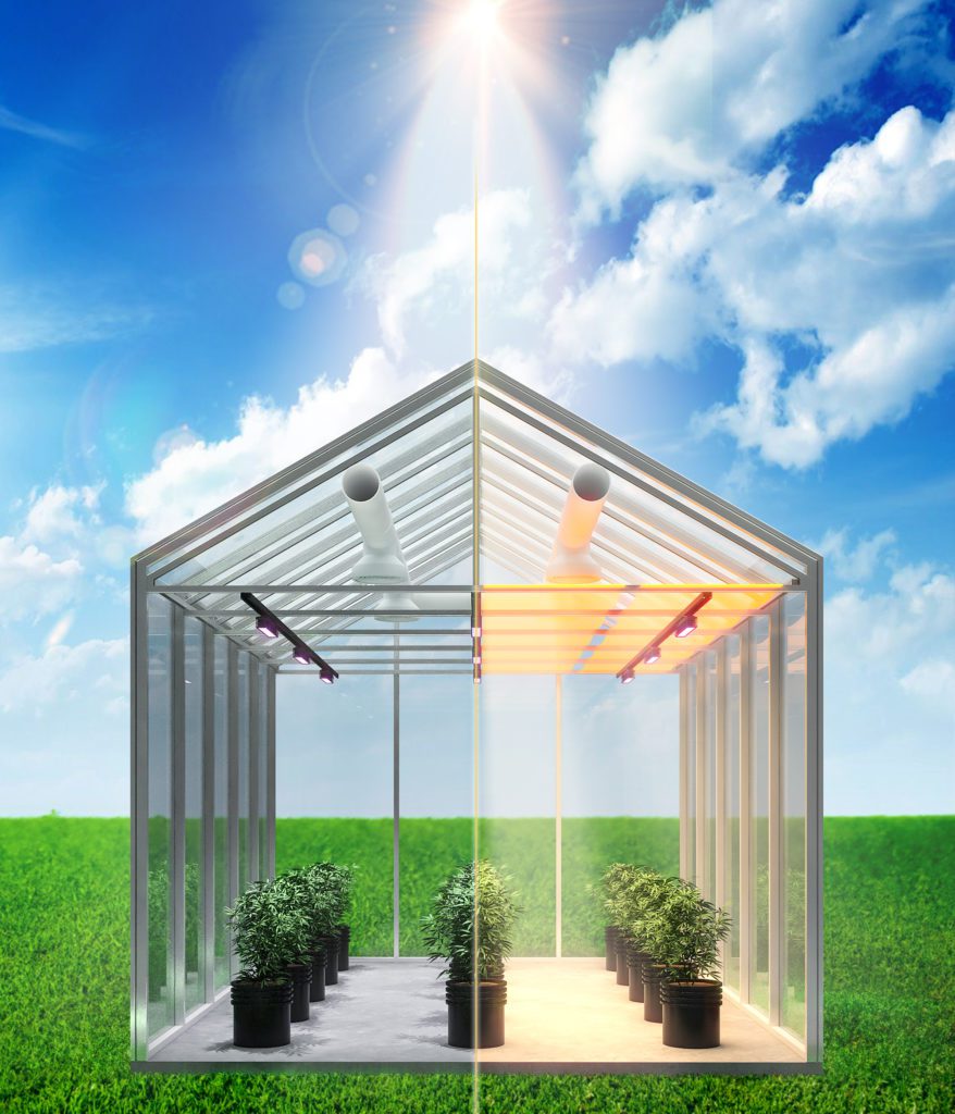 17 Reasons To Use UbiGro In Your Greenhouse