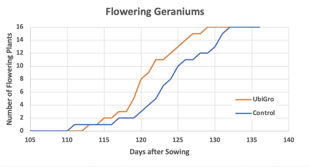 +21% Boost in Flowering in Geranium Trial