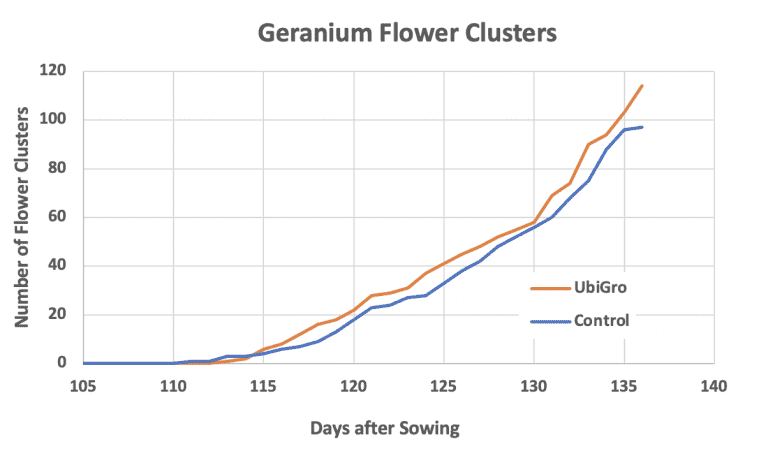 +21% Boost in Flowering in Geranium Trial