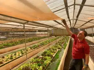 Kunia County Farms Greenhouse Film Case Study