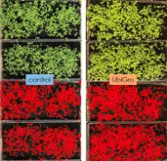 +27% Yield Boost in Microgreens Trial