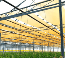 6 Types of Greenhouse Poly Film Coverings
