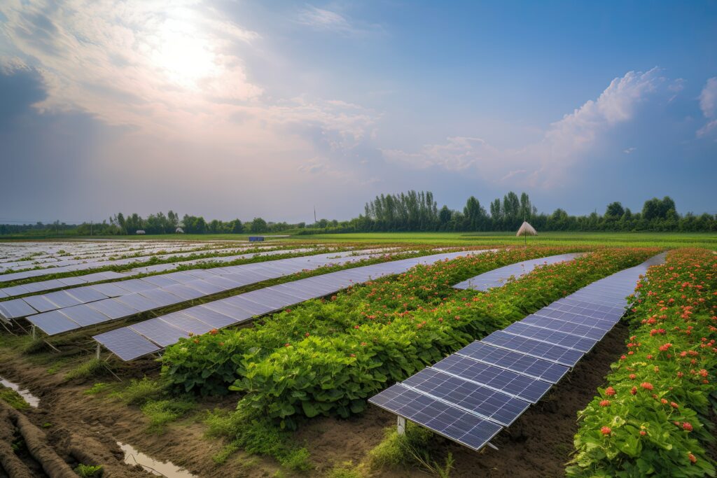 Agrivoltaics: Making the Most of Sunlight for Electricity and Agriculture