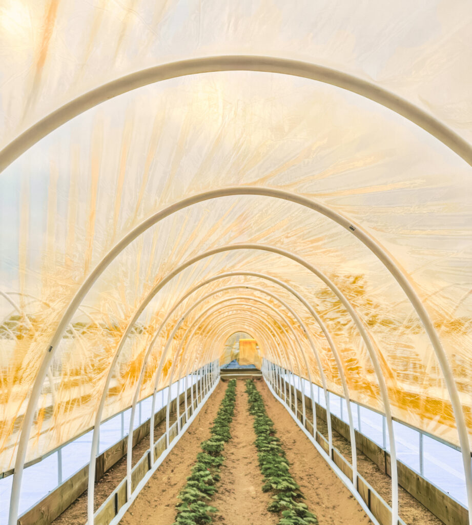 5 Misconceptions of Greenhouse Covers