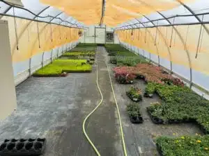 interior of a greenhouse