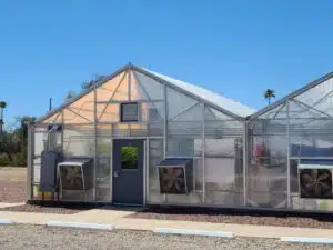 4 Ways to Use a Greenhouse in the Summer