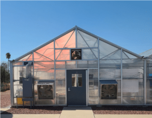 Light interaction with plants: Reflection, Emission and Absorption